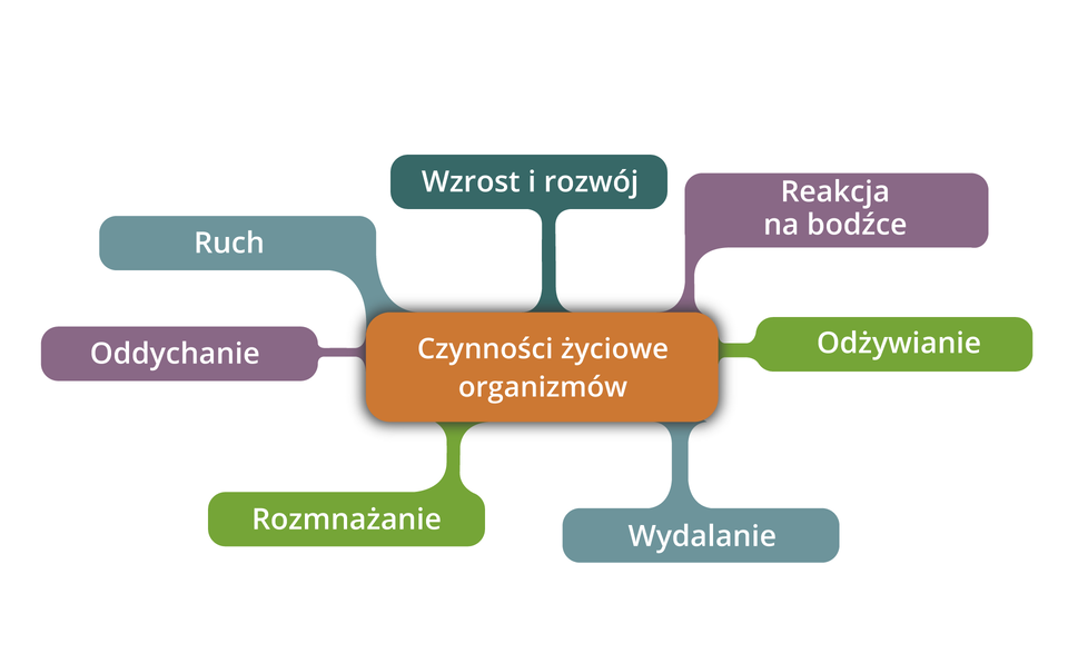 I. BIOLOGIA - NAUKA O ŻYCIU klasa V