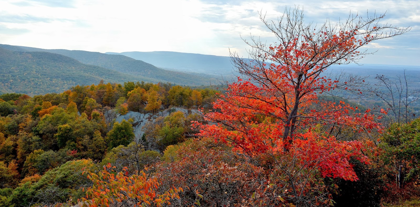 Nature of New York Autumn in the Hudson Valley Part 2 (Foliage)