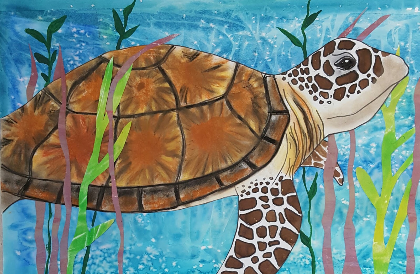 MaryMaking Sea Turtle Collages