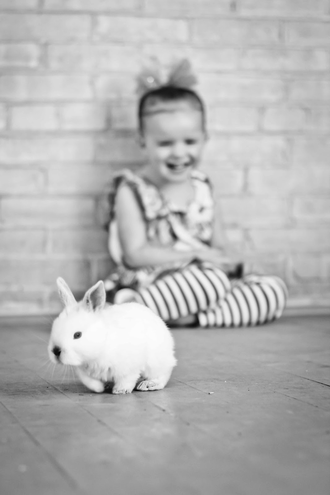 A. Leigh Photography bunnies part 3 {new braunfels tx live bunny