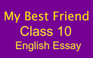My Best Friend Class 10 English Essay