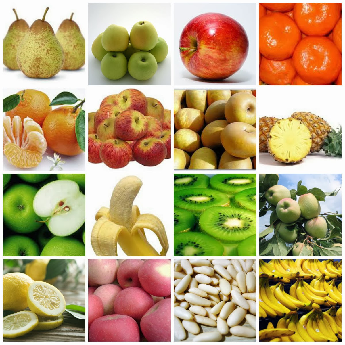 Nutrir o Saber: Frutas da Época - Março