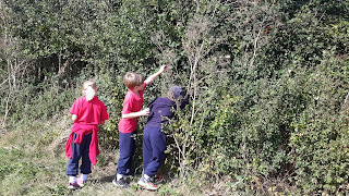 Blackberries Bonding and Base 10!, Copthill School
