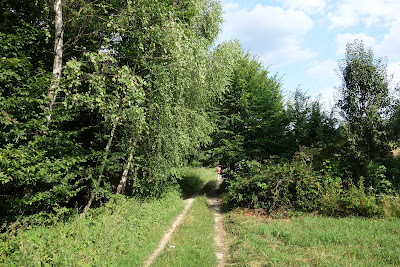 Szlak czerwony między Sochami a Florianką: Szozdowy Borek