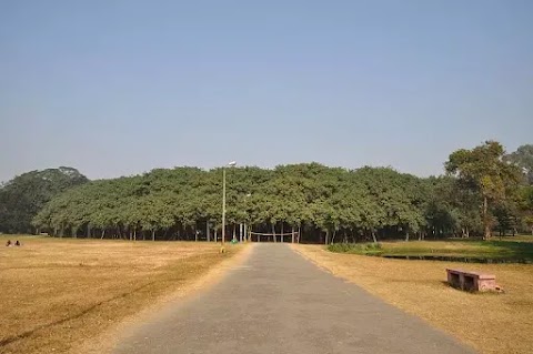 Great Banyan Tree: Pohon Beringin Terbesar dan Terluas Sejagad