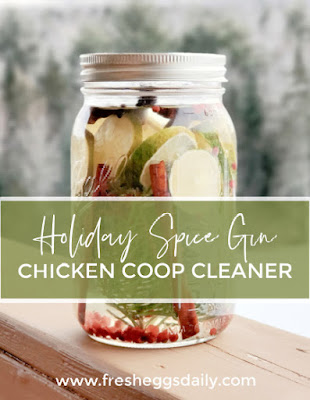 holiday spice gin chicken coop cleaner