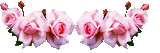 12164038PvU8uWD.gif