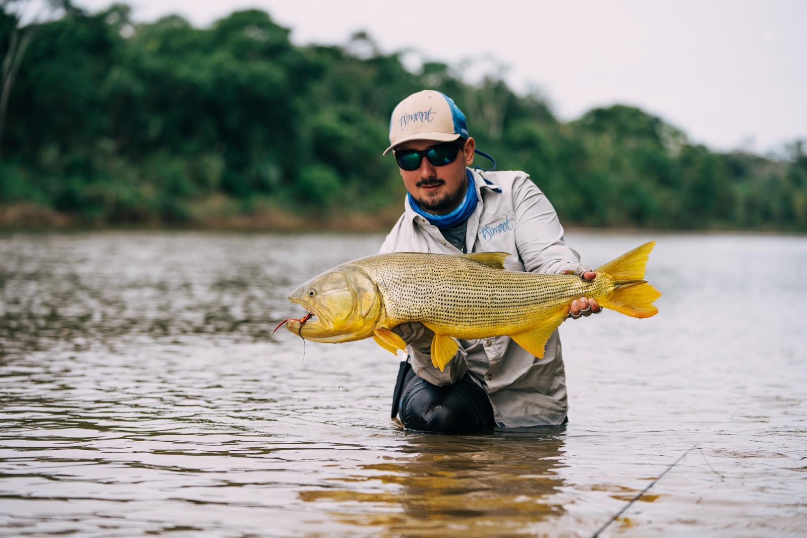 Mad River Outfitters: The Wild Golden Dorado