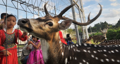 Alamat, Harga Tiket, Review serta Lokasi Wisata Jogja ...