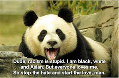 Racism is stupid. I am black, white and Asian. But everyone loves me.