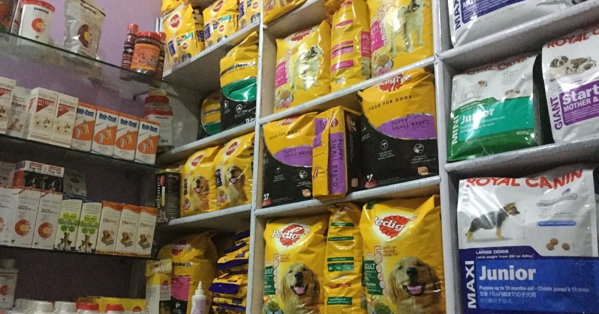 Top 10 Pet Shop In South Delhi