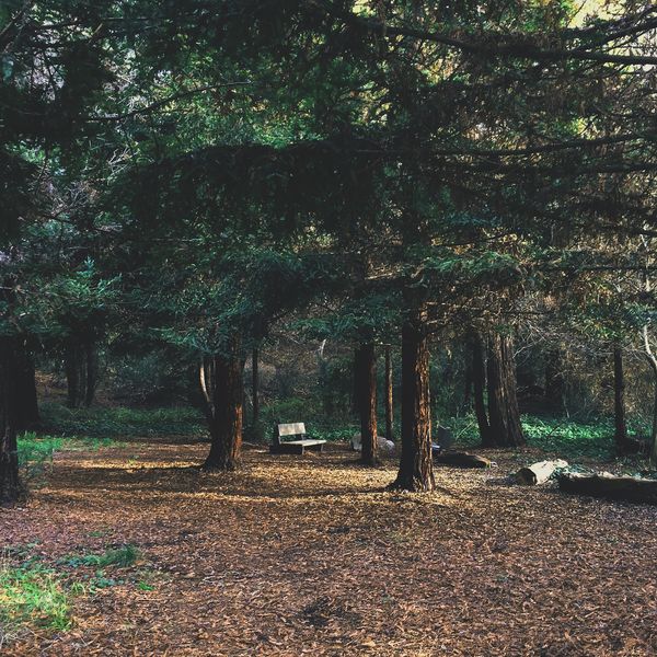 Jandy – Listening Poetry