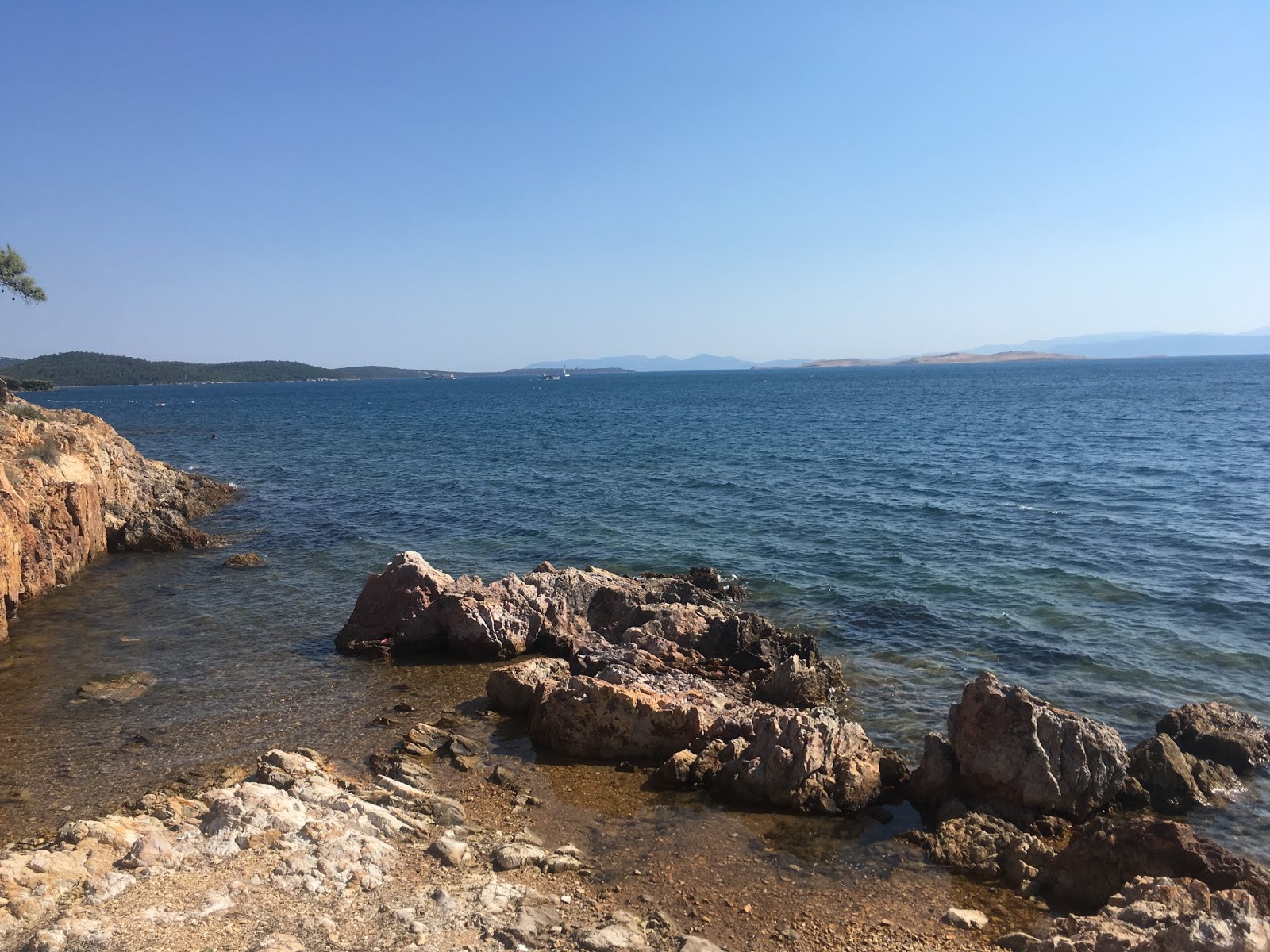 cunda adasi ucretsiz kamp yeri ortunc