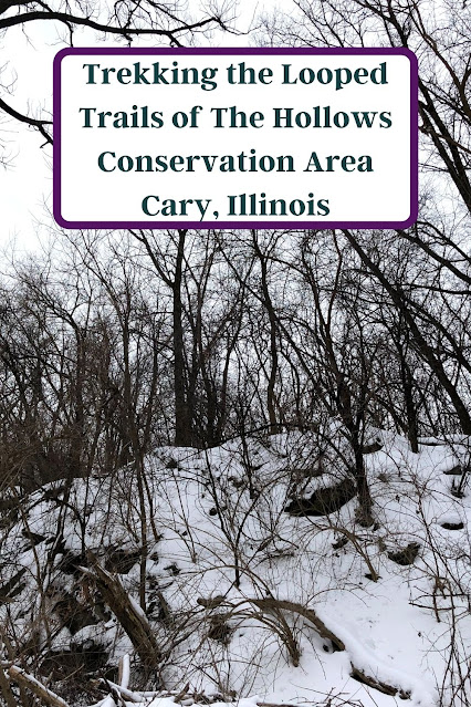 Trekking the Looped Trails of The Hollows Conservation Area in Cary, Illinois