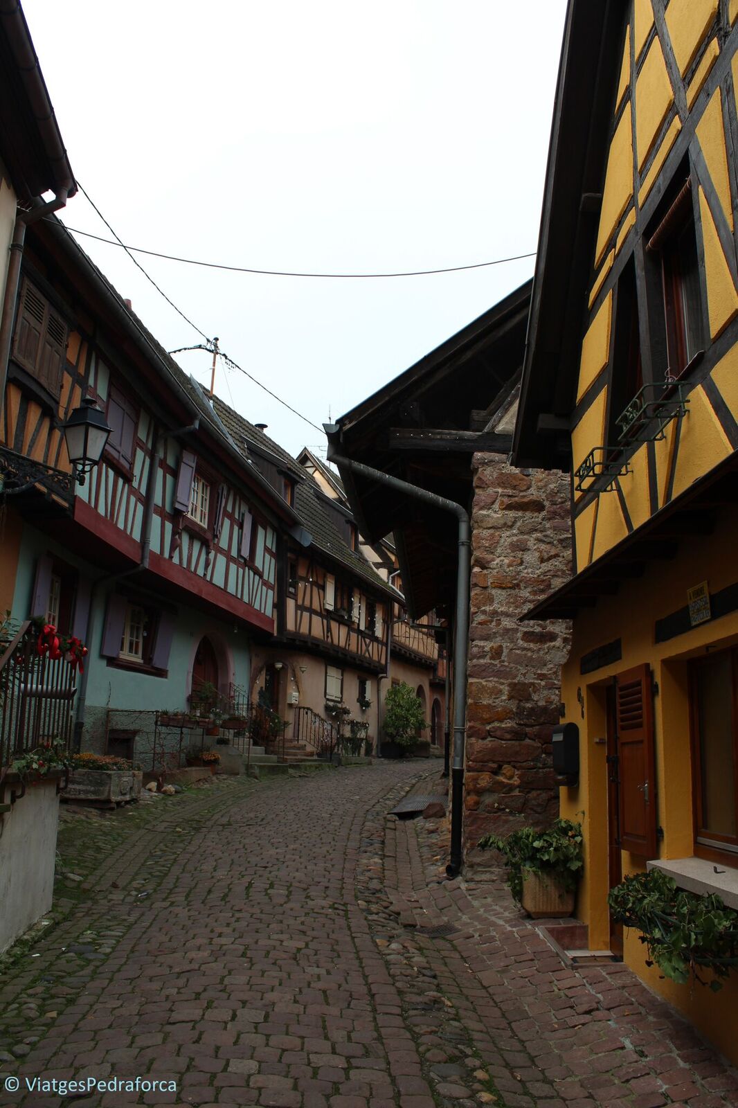 Els pobles de la Ruta del Vi de l'Alsàcia, Els pobles més bonics de França