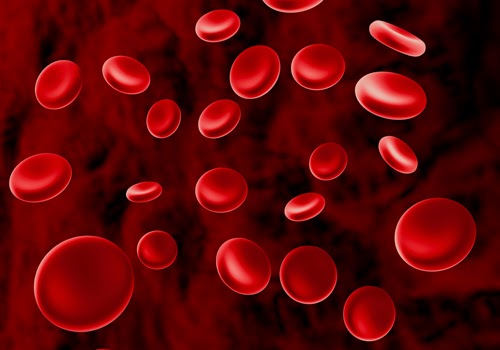 free clipart blood cells - photo #11