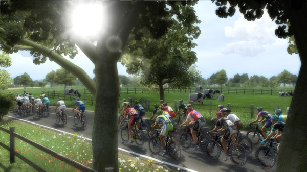 Pro Cycling Manager 2014 Full Version Pro Cycling Manager 2014 Full Version