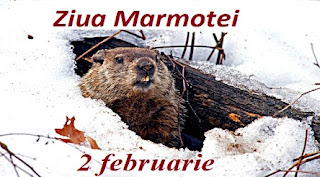 2 februarie: Ziua Marmotei