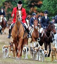 Thanksgiving Fox Hunt Ride