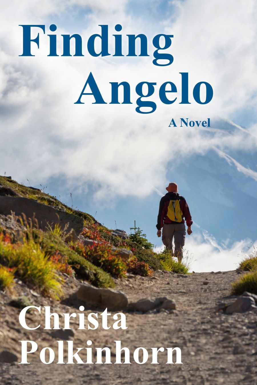 Finding Angelo (The Wine Lover's Daughter, Book 2).