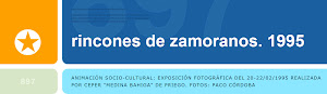 Blog-webs sobre Zamoranos: