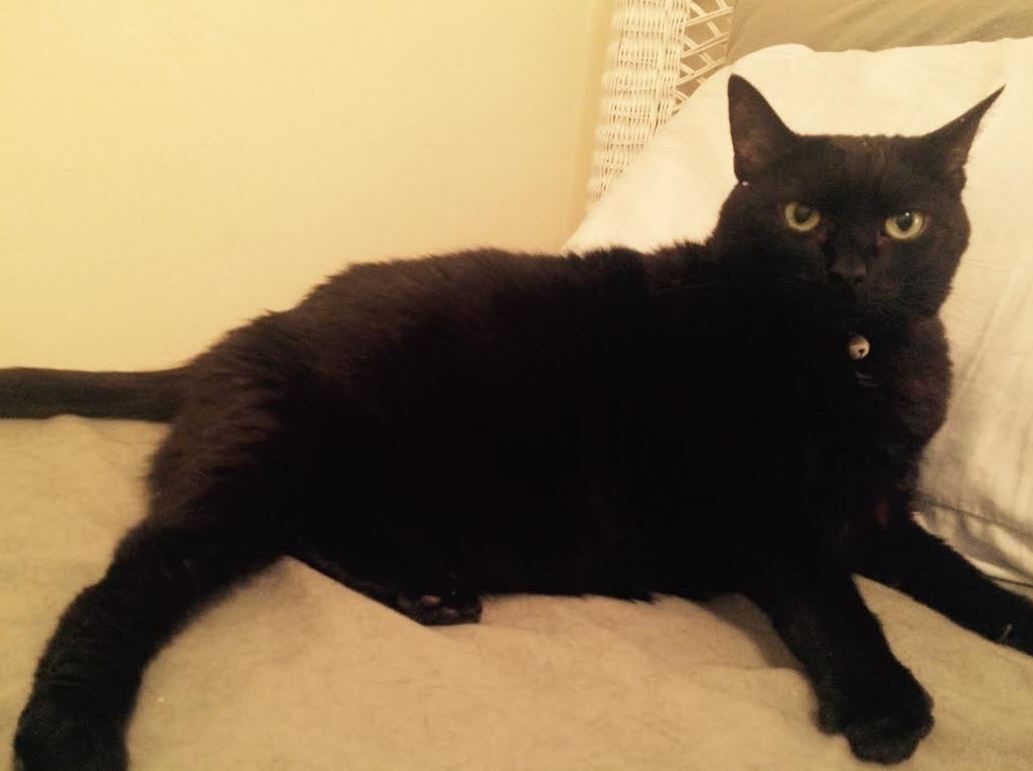 Hewan terkaya Di dunia ~ KABAR CAMPUR ADUK