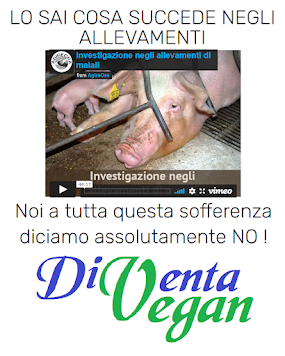 Non contribuire a tanto orrore, diventa Vegan!