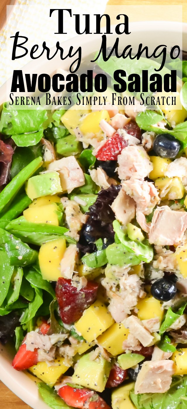 Tuna Berry Mango Avocado Salad Serena Bakes Simply From Scratch