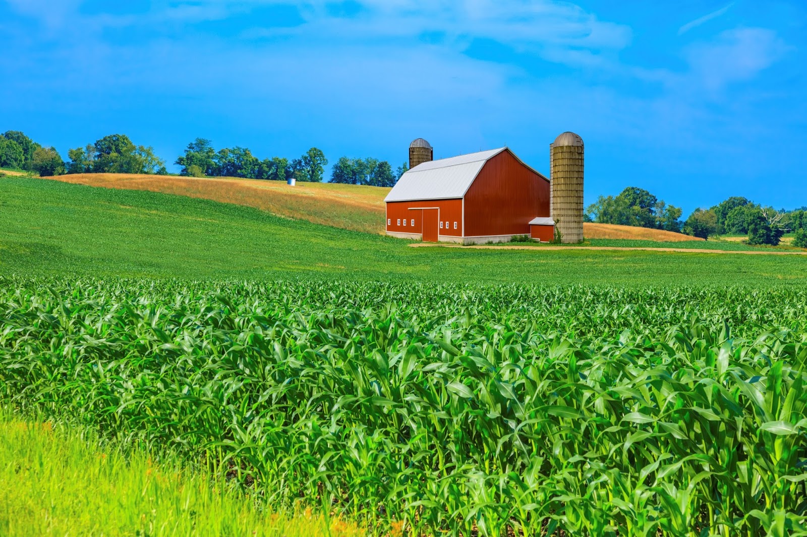 Hardware Replacement Supplies for Sliding Barn Doors Paris Farmers Union