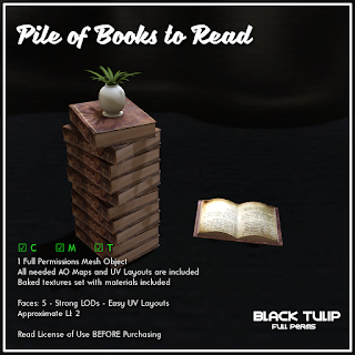 [Black Tulip] Mesh - Pile of books to read