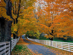 autumn desktop wallpapers scenery fall backgrounds scenes scenic scene awesome autumnal autum leaves seasons season country pretty most falling desktops