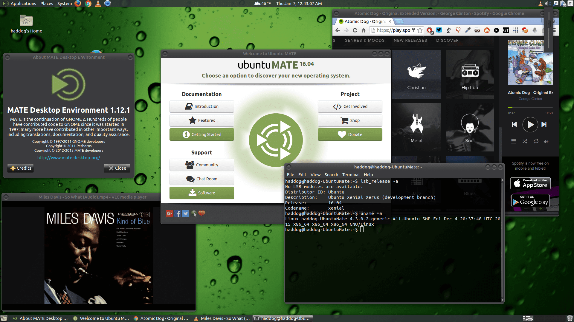 X2mate com. Ubuntu Mate. Linux Ubuntu Mate. Mate окружение рабочего стола. Рабочий стол Ubuntu Mate.