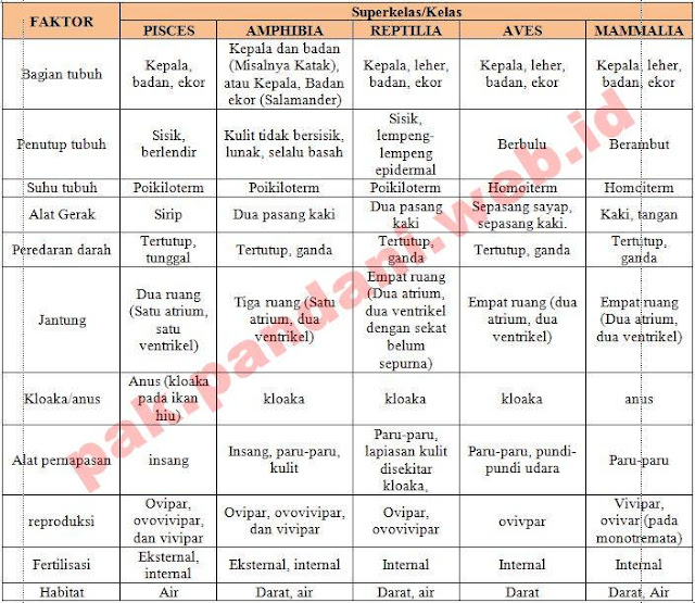 Persamaan Aves Dan Mamalia Adalah Cara Golden