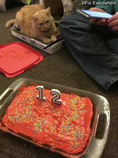 Carmine with his orange birthday cake.