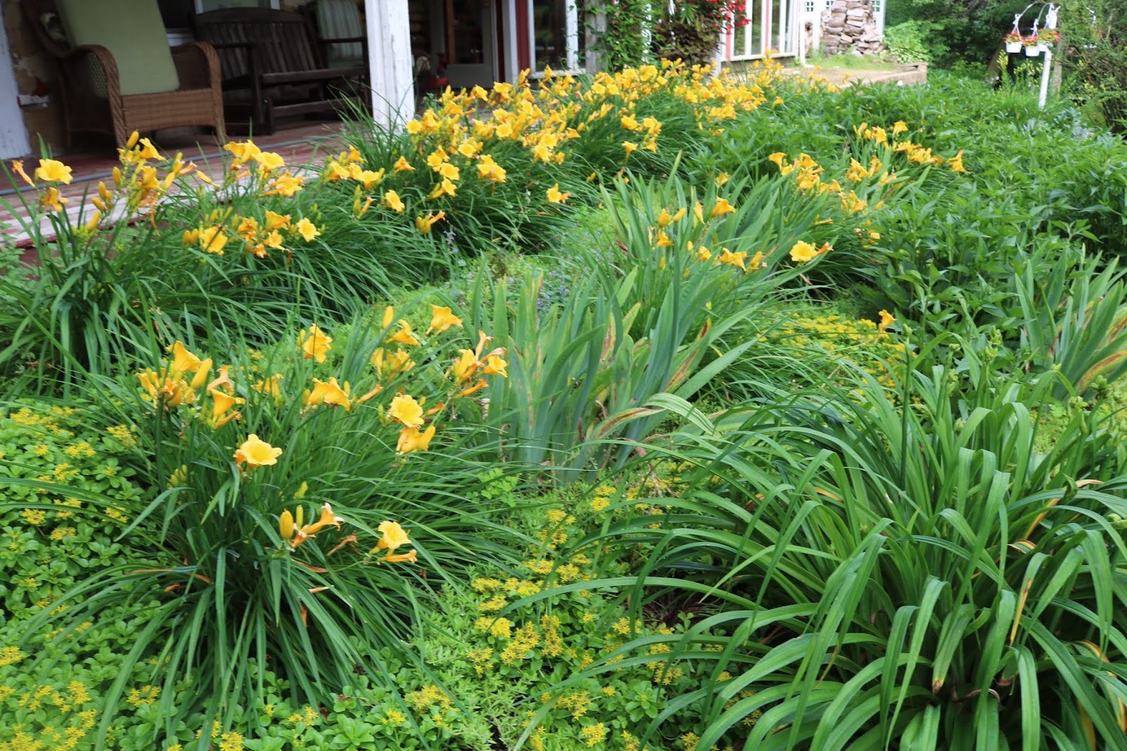 Other Pieces Of Me Hydrangeas And Peonies And Phlox Oh My