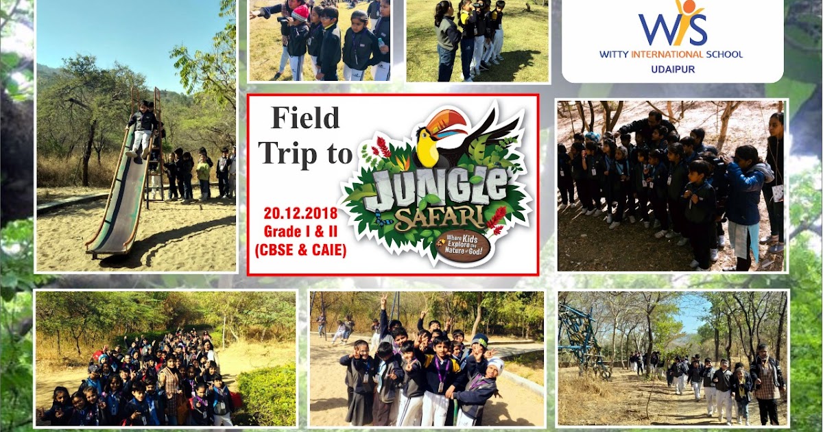 jungle safari park udaipur reviews