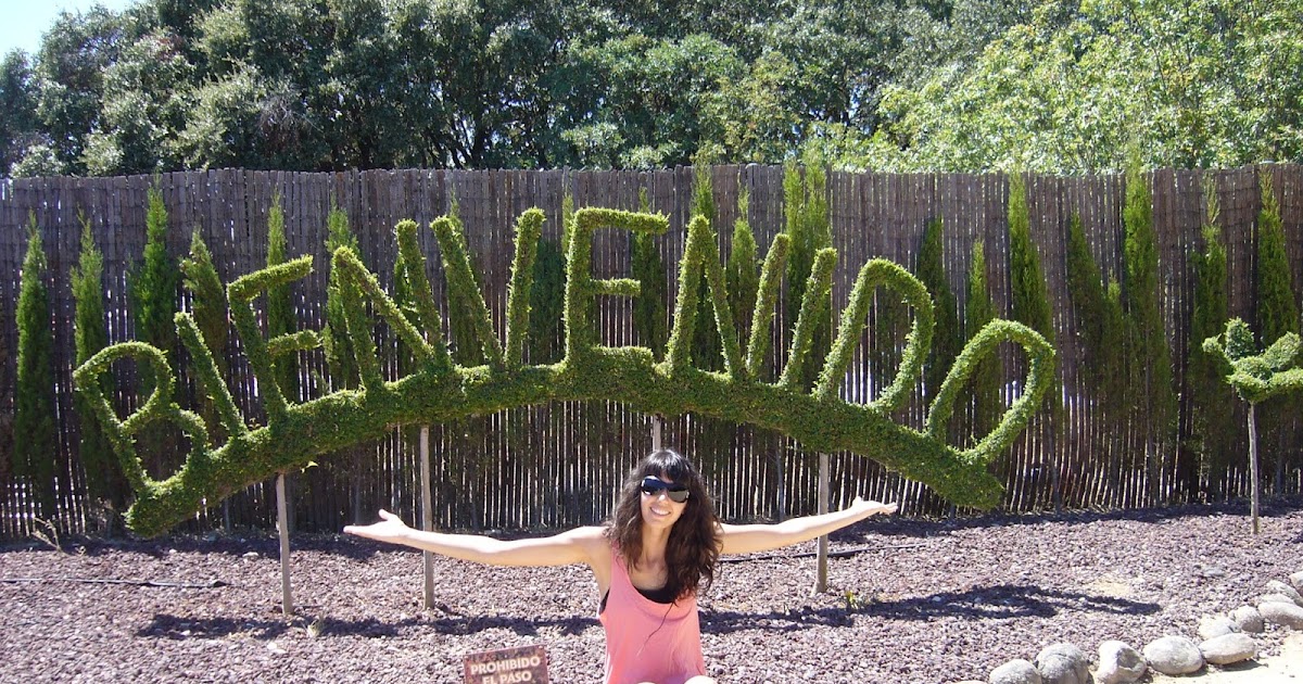 Donde me dejes llevarte Encantada con el Bosque Encantado