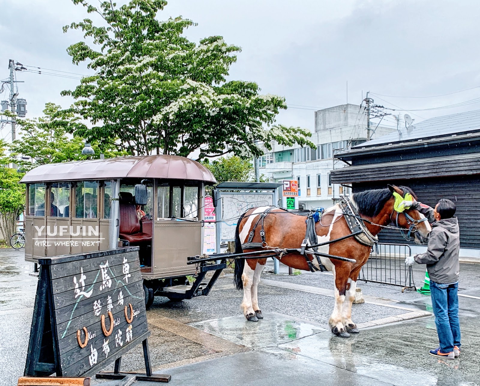 日本 北九州 令和初遊d2 由布院 湯之坪街道 Yufuin Floral Village童話村 金鱗湖