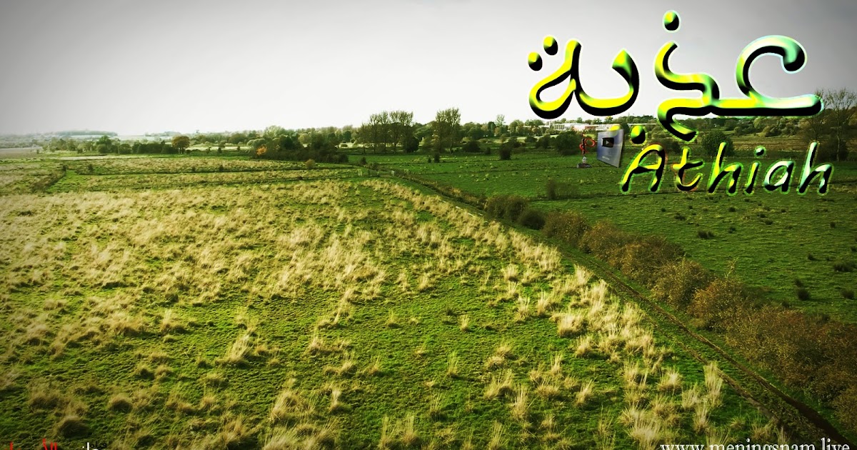 معنى اسم اثيا وأوصاف حامل هذا الاسم اثيا ومعاني الأسماء ومعاني الكلمات وتفسير القرآن الكريم.