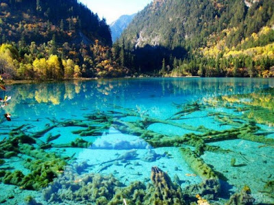 Lago cristalino Turquoise, Jiuzhaigou National Park, China