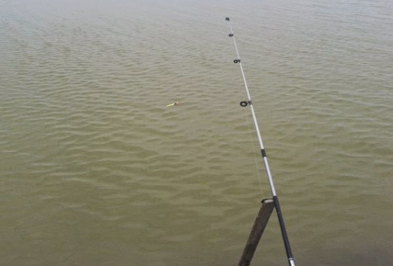 99 Arti Mimpi Mancing Ikan Gurame Togel Menurut Primbon Islam Hindu Dan Kristen Nomor Mimpi Mancing