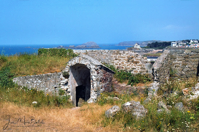  Fort d'Arboulé (la Varde). Casemate