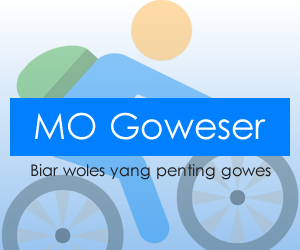 MO Goweser