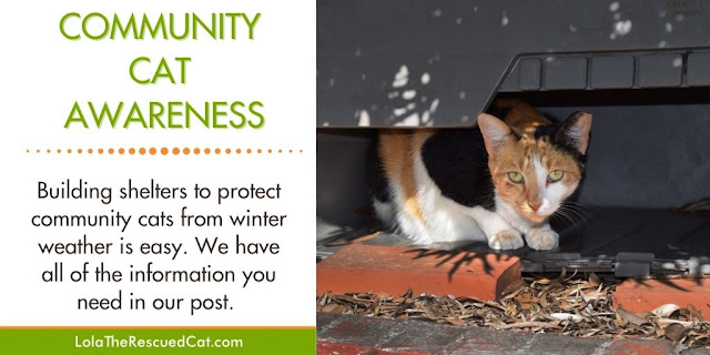 shelters for outdoor cats