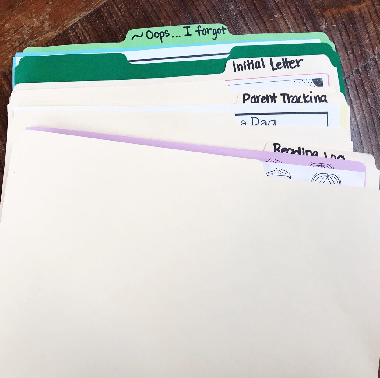 Book in a Bag Volunteer Program First Grade Roars!