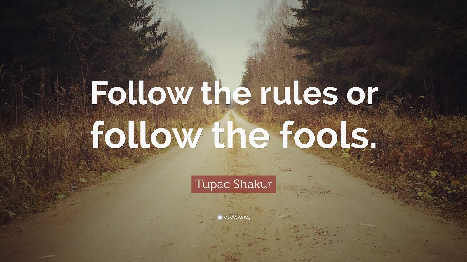 Rules and Guidelines for Funniest Texts Ever