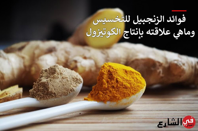 فوائد الزنجبيل للتخسيس فوائد الزنجبيل للتخسيس