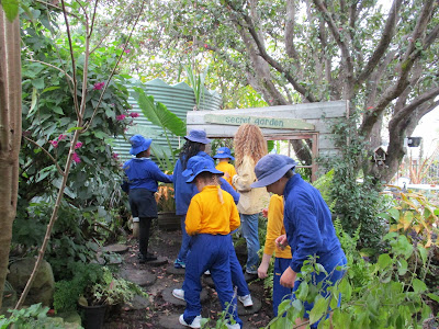 Kitchen Gardens in Schools