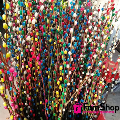 Ý nghĩa của nụ hoa tầm xuân ngày Tết Y nghia cua nu hoa tam xuan ngay Tet