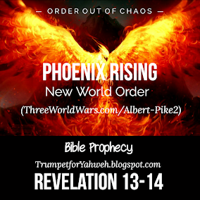 Phoenix Rising